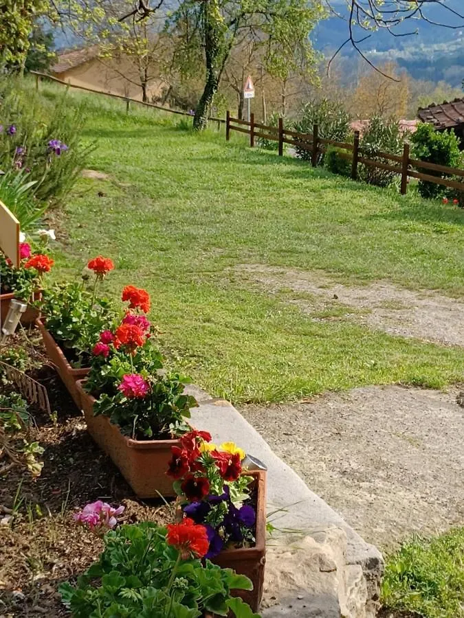 B&B Daniela Castiglione di Garfagnana 0*,  Itálie
